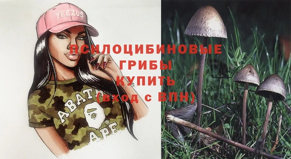 прущие крисы Алзамай