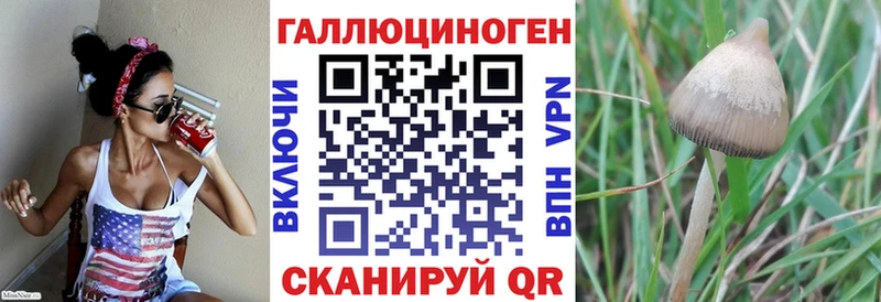 Псилоцибиновые грибы мицелий  купить наркотики цена  Островной 